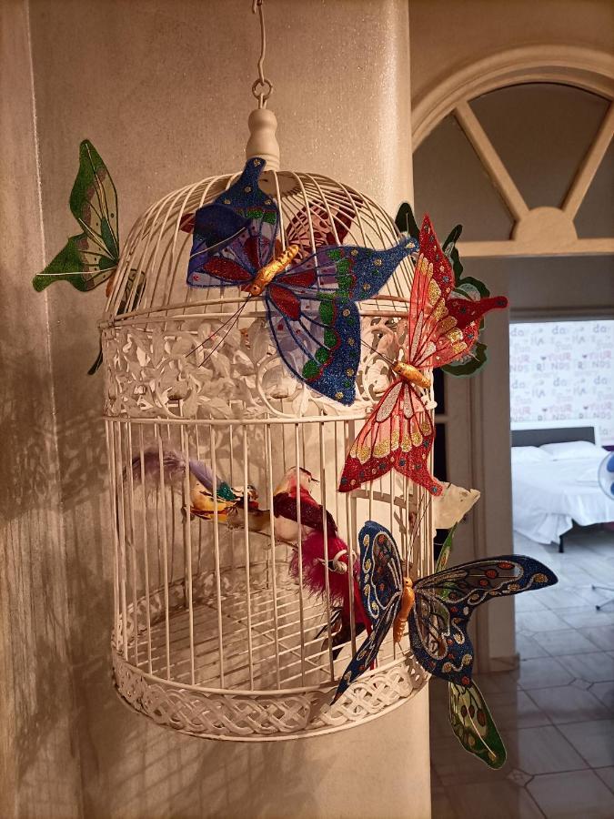 Bed & Breakfast Butterfly House