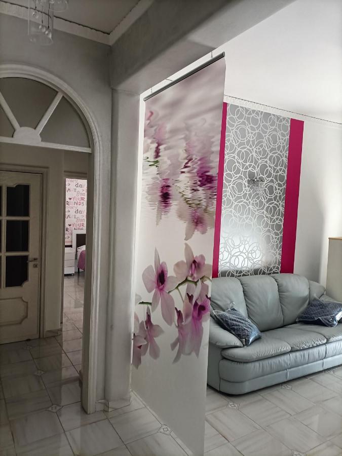 Butterfly House Bed & Breakfast *